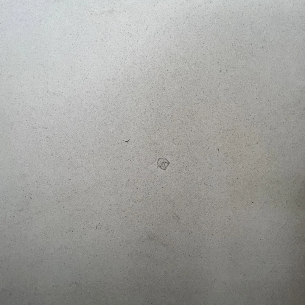 FineGrain2